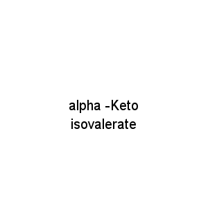 alpha -Keto isovalerate